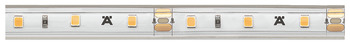 シリコンスリーブ付き LED テープライト, ハーフェレ Loox5 LED 2063 12 V 8 mm 2ピン（モノクローム）、60 個の LED/ m、4.8 W/m、IP44